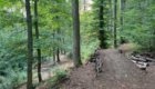 Mountainbike Freeride-Strecke am Schiffenberg