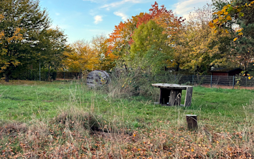 Trial-Gelände in Kleinlinden im Oktober 2024